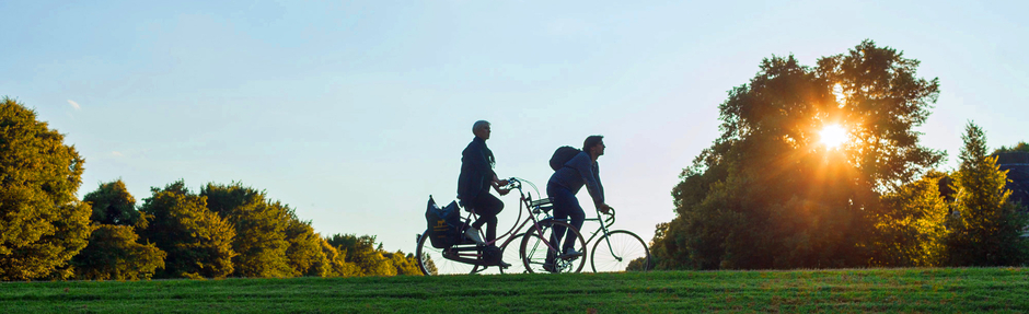 zwischen Wald und Wiese (Foto: Nina Weymann)