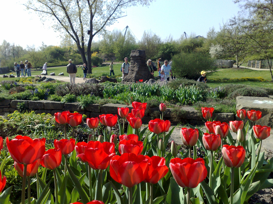 Gartenregion Hannover (Foto: Heiko Söhneholz)
