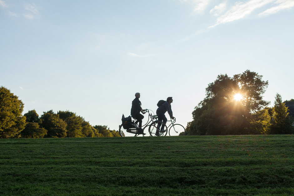 Zwischen Wald und Wiese (Foto: Nina Weymann)
