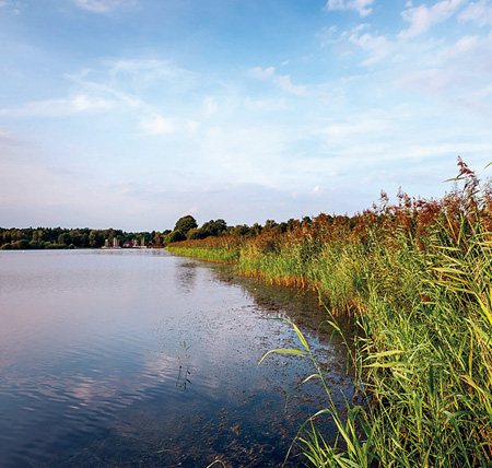 Meissendorfer Teiche (Foto: Lüneburger Heide GmbH)