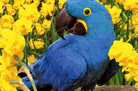 Weltvogelpark Walsrode (Foto: Weltvogelpark)