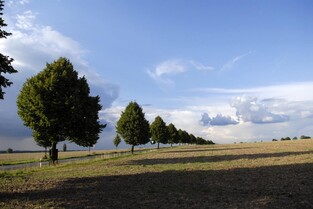 Landschaft Region Hannover - Gehrden